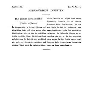 Ad00341 04 074a01.jpg