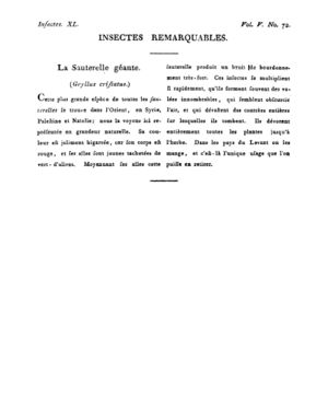 Ad00341 04 074a02.jpg