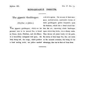 Ad00341 04 074a03.jpg