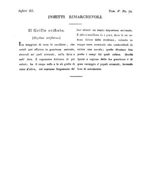 Ad00341 04 074a04.jpg
