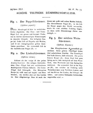 Ad00341 04 075a01.jpg