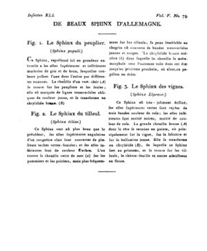 Ad00341 04 075a02.jpg