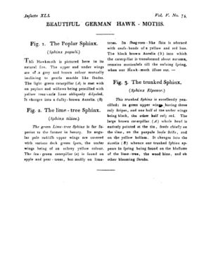 Ad00341 04 075a03.jpg