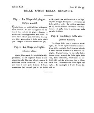 Ad00341 04 075a04.jpg