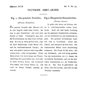Ad00341 04 076a01.jpg