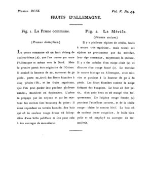 Ad00341 04 076a02.jpg