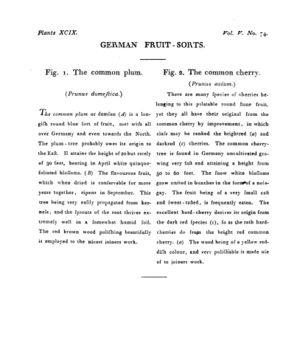 Ad00341 04 076a03.jpg