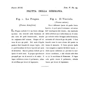 Ad00341 04 076a04.jpg