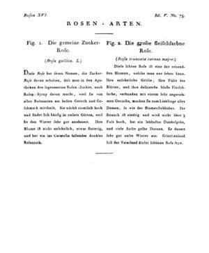Ad00341 04 077a01.jpg