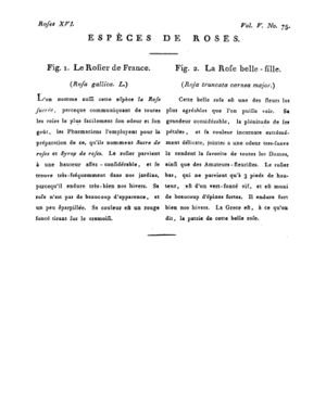 Ad00341 04 077a02.jpg