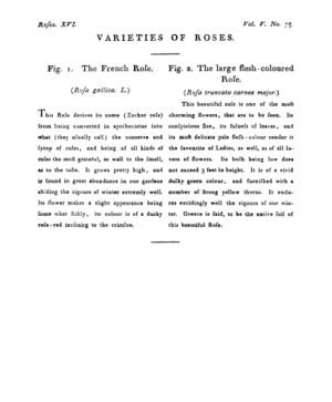 Ad00341 04 077a03.jpg
