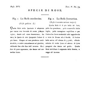 Ad00341 04 077a04.jpg