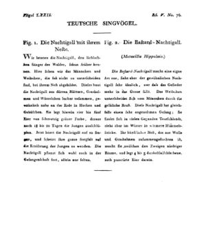 Ad00341 04 078a01.jpg