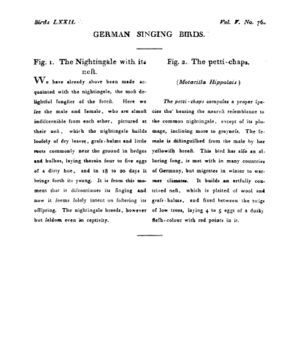 Ad00341 04 078a03.jpg