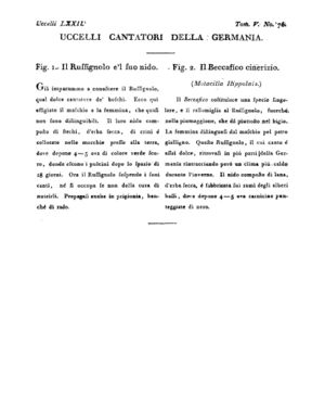 Ad00341 04 078a04.jpg