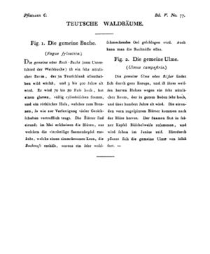 Ad00341 04 079a01.jpg