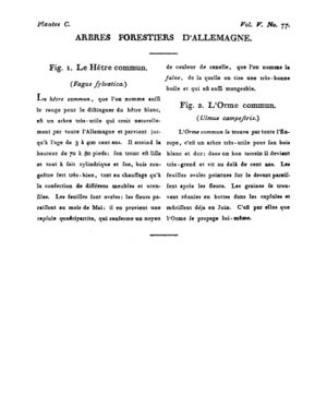 Ad00341 04 079a02.jpg