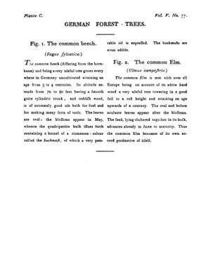 Ad00341 04 079a03.jpg