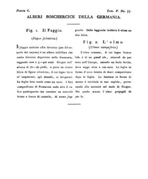 Ad00341 04 079a04.jpg