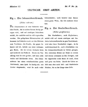 Ad00341 04 080a01.jpg