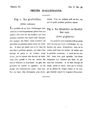 Ad00341 04 080a02.jpg