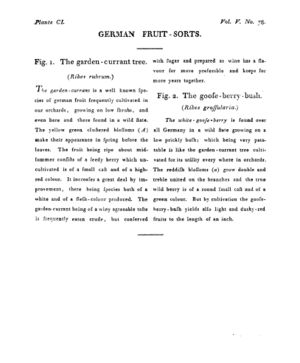 Ad00341 04 080a03.jpg