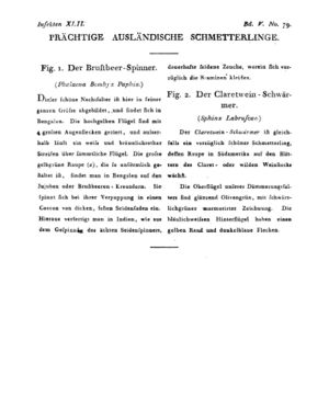 Ad00341 04 081a01.jpg