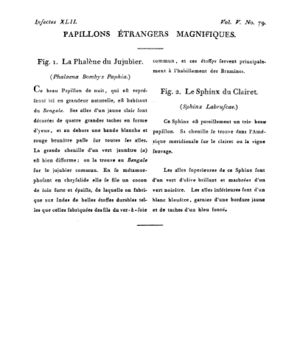 Ad00341 04 081a02.jpg