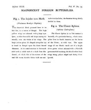 Ad00341 04 081a03.jpg