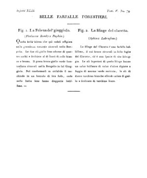 Ad00341 04 081a04.jpg