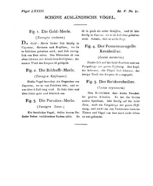 Ad00341 04 083a01.jpg