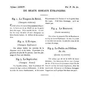 Ad00341 04 083a02.jpg
