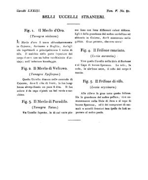 Ad00341 04 083a04.jpg