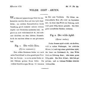 Ad00341 04 084a01.jpg