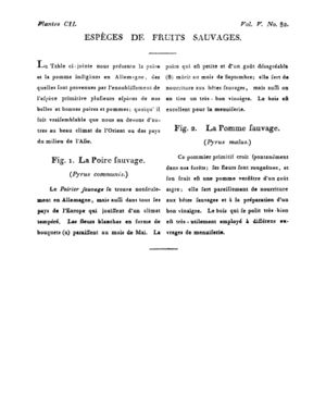 Ad00341 04 084a02.jpg