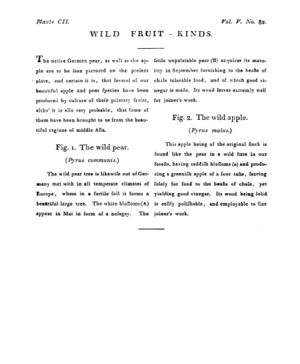 Ad00341 04 084a03.jpg