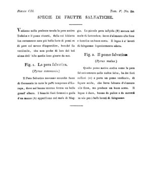 Ad00341 04 084a04.jpg