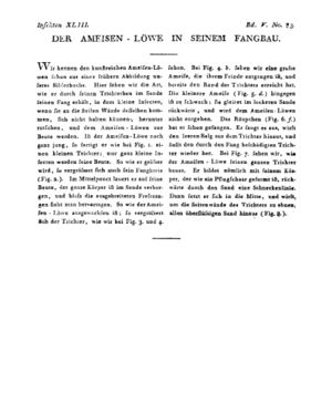 Ad00341 04 085a01.jpg