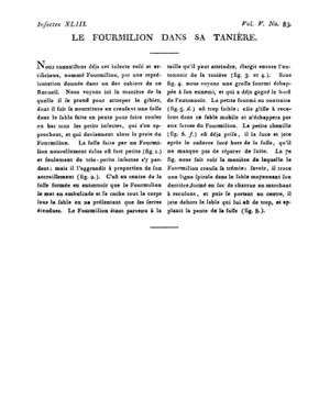 Ad00341 04 085a02.jpg
