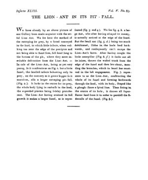 Ad00341 04 085a03.jpg