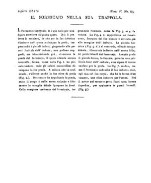 Ad00341 04 085a04.jpg