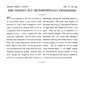 Ad00341 04 086a03.jpg