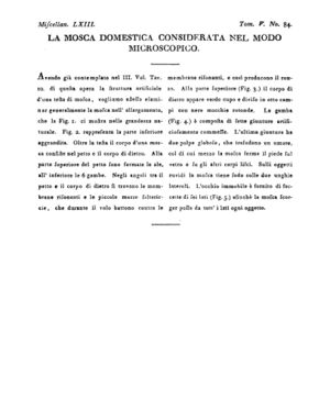 Ad00341 04 086a04.jpg