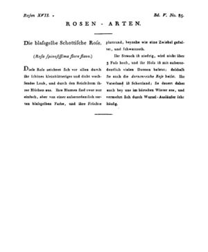 Ad00341 04 087a01.jpg