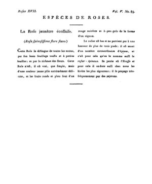 Ad00341 04 087a02.jpg