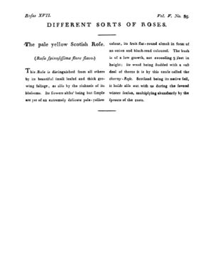 Ad00341 04 087a03.jpg