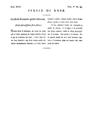 Ad00341 04 087a04.jpg