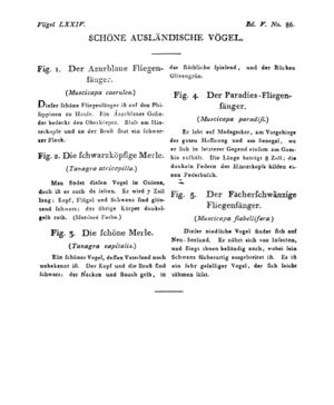 Ad00341 04 088a01.jpg