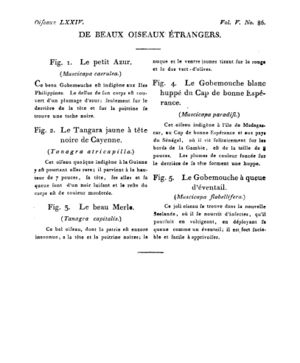 Ad00341 04 088a02.jpg