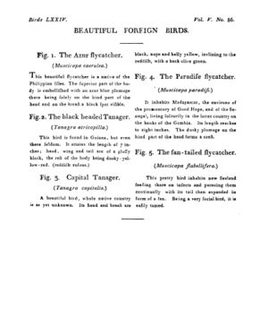 Ad00341 04 088a03.jpg